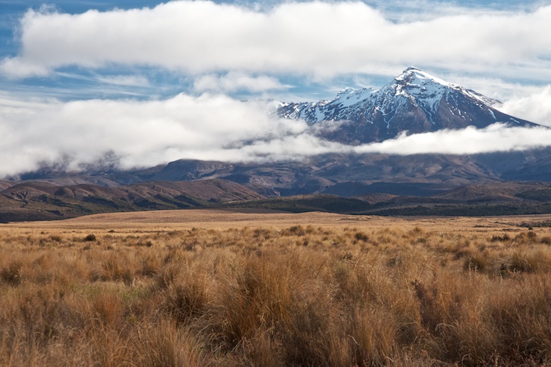 New Zealand