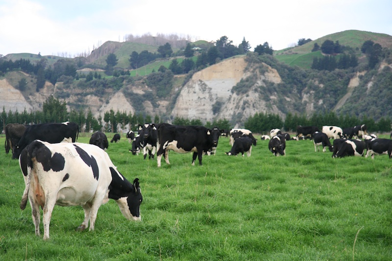 New Zealand