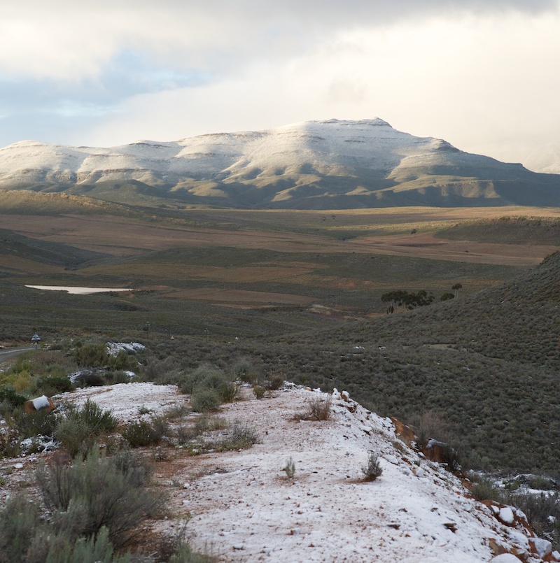 Montagu
