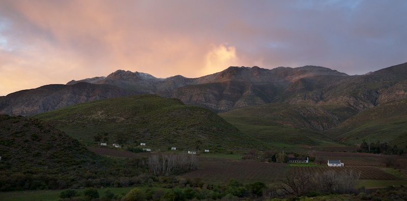 Montagu