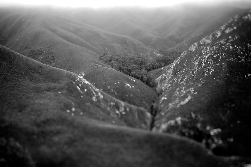 Wilderness