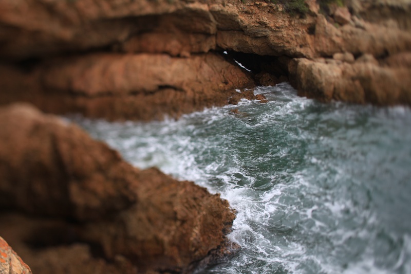 Wilderness