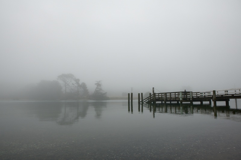 North Island