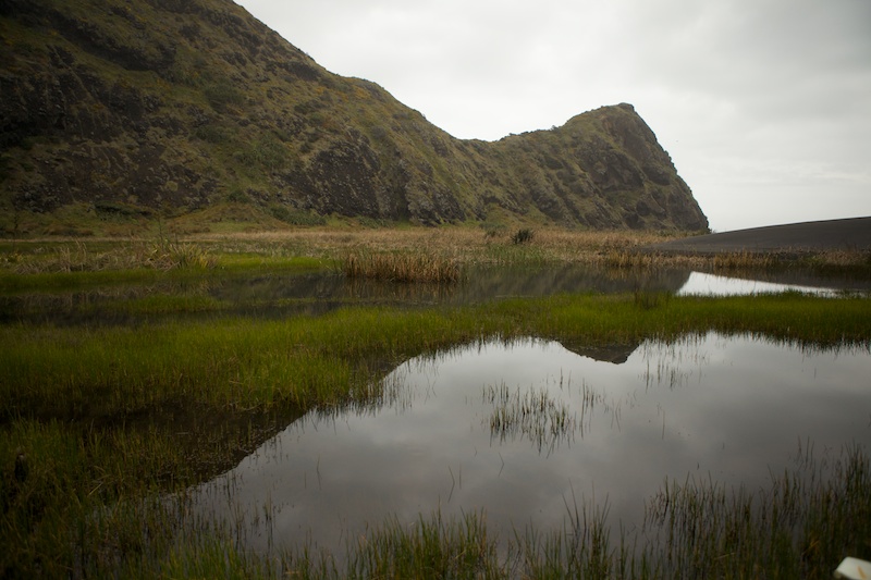North Island