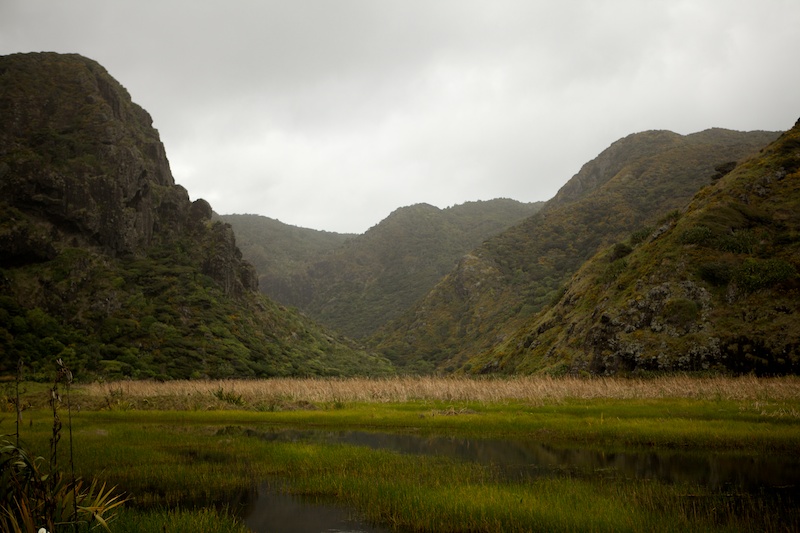 North Island