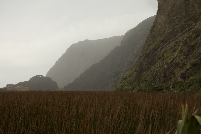 North Island