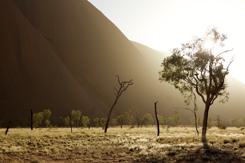 Uluru