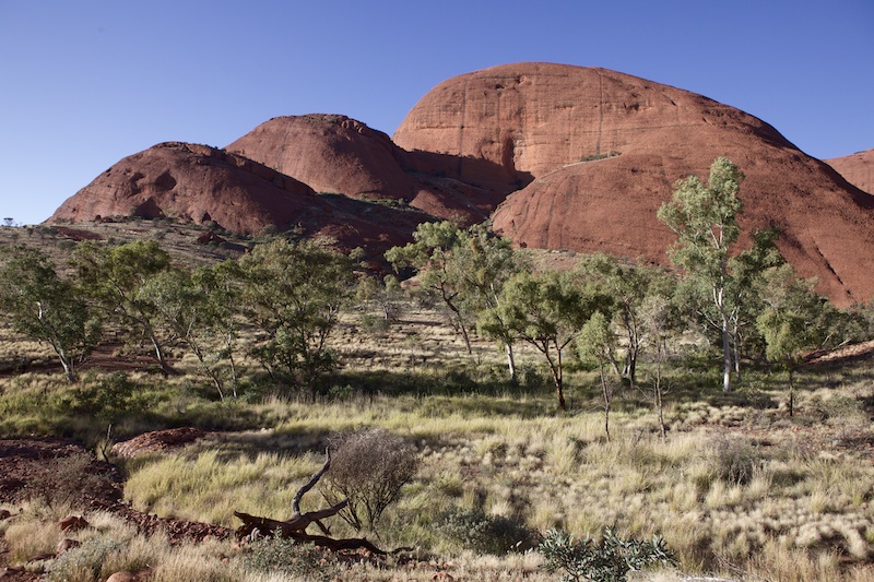Uluru