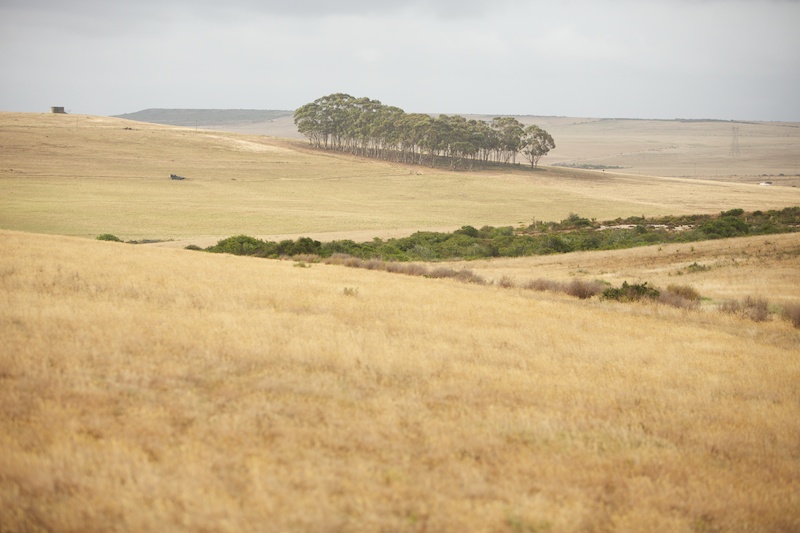 Garden Route Game Lodge