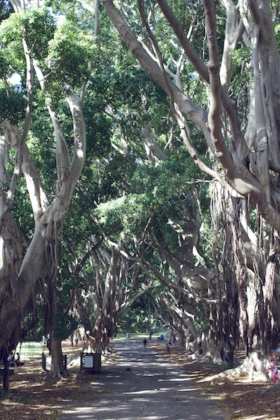 Nielson Park
