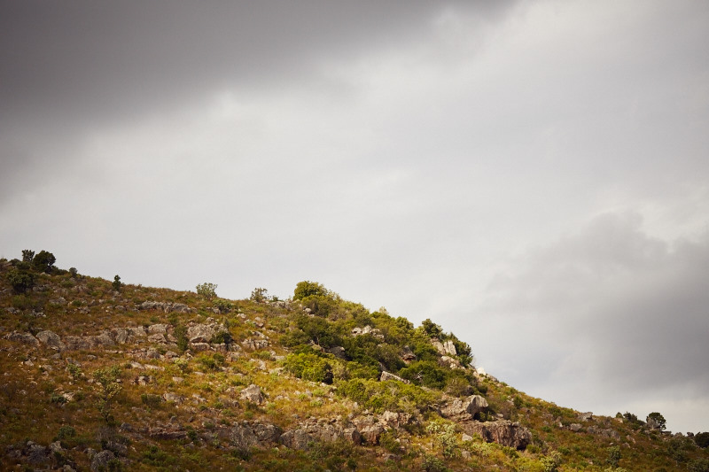 Cape Town 2015