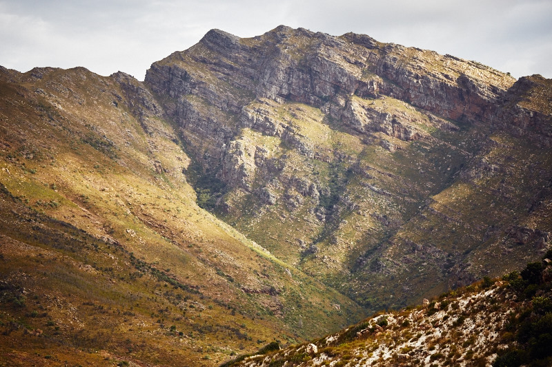 Cape Town 2015