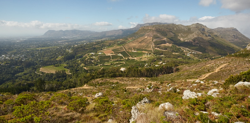 Cape Town 2015