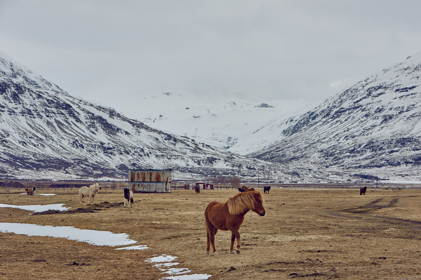 Iceland