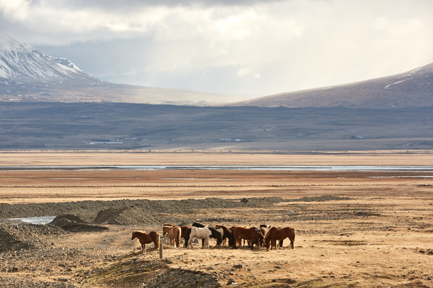 Iceland