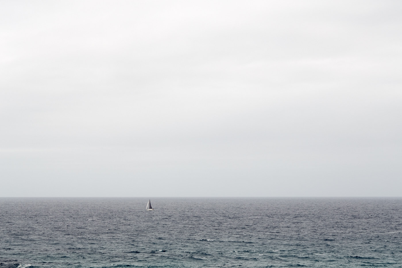 Bondi 2017