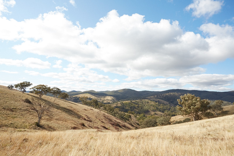 Mudgee