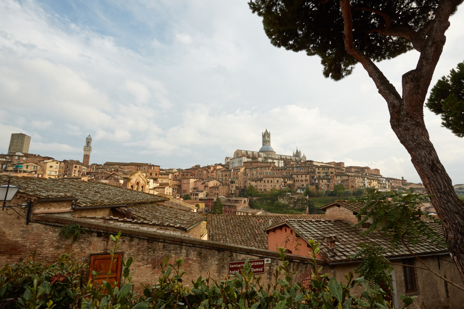 Siena Towers