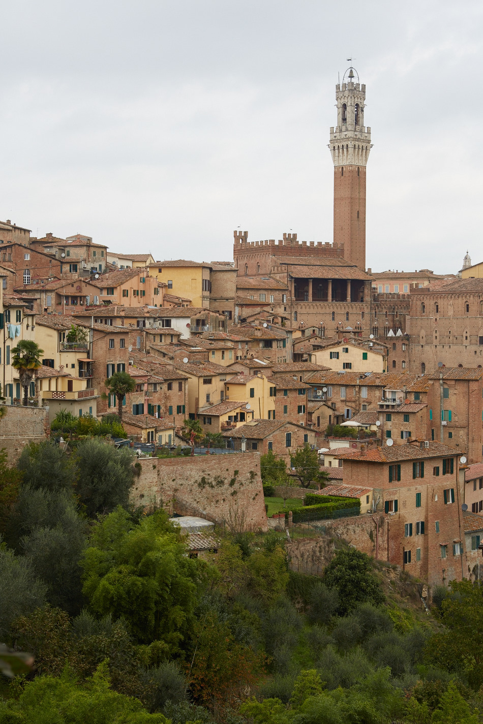 Siena Towers